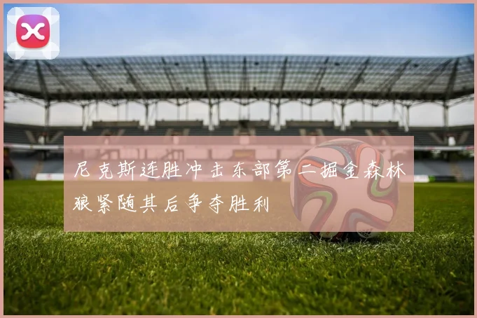 尼克斯连胜冲击东部第二掘金森林狼紧随其后争夺胜利